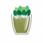 Kiwi Cooler